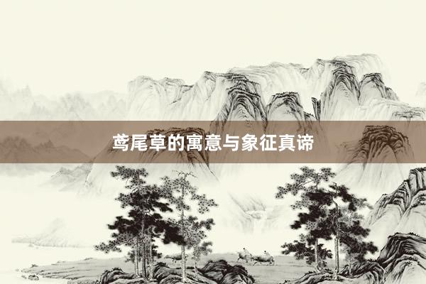 鸢尾草的寓意与象征真谛