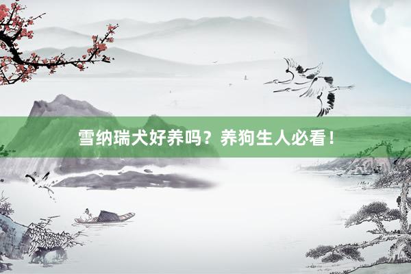 雪纳瑞犬好养吗？养狗生人必看！