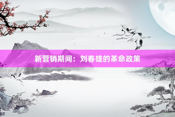 新营销期间：刘春雄的革命政策
